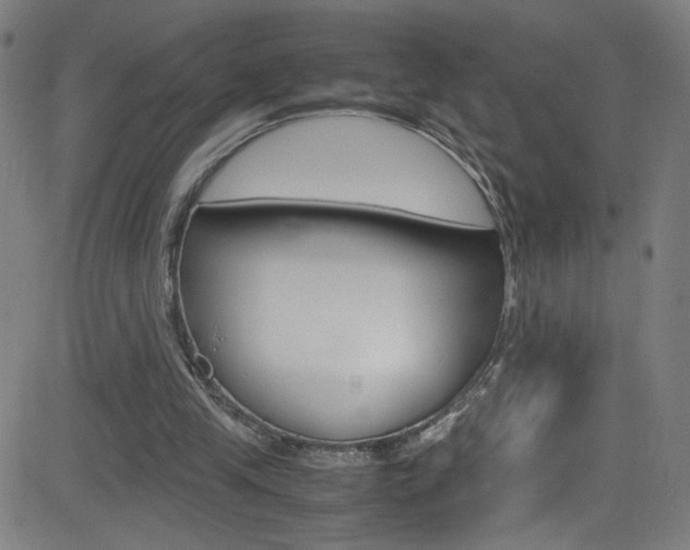 X0000083000245200702011216