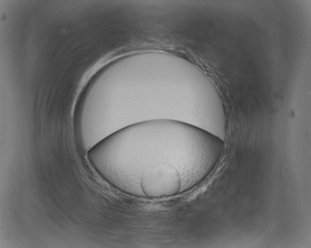 X0000083000246200702011216