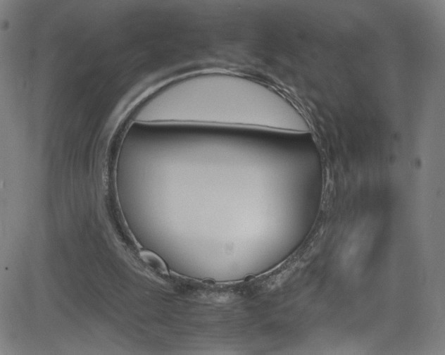X0000083000247200702011216