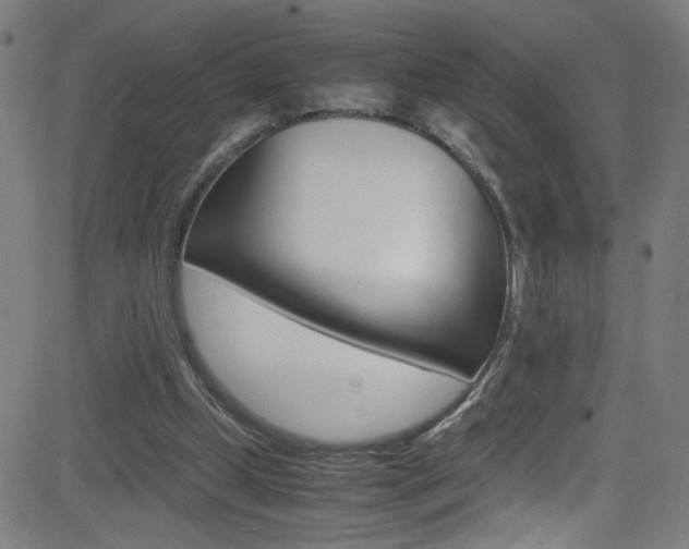 X0000083000249200702011216