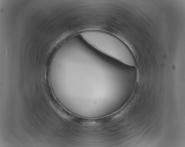 X0000083000253200702011216