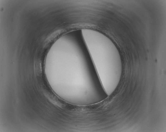 X0000083000254200702011216