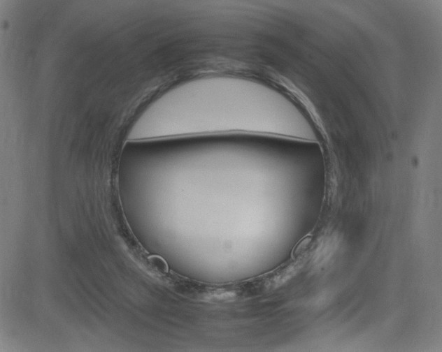 X0000083000257200702011216