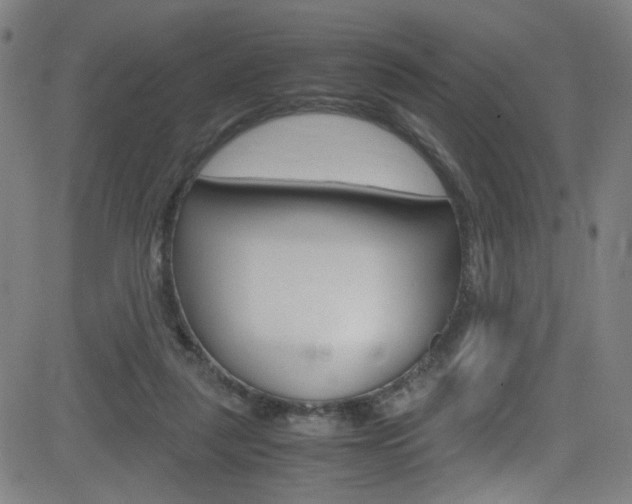 X0000083000259200702011216