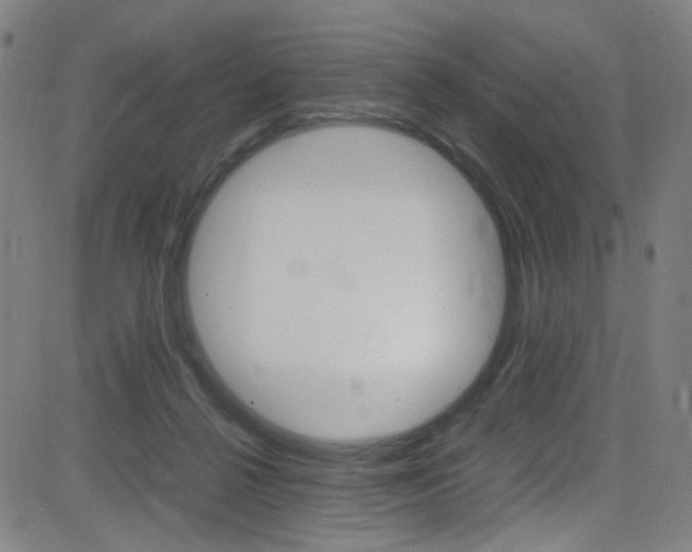 X0000083000264200702011217