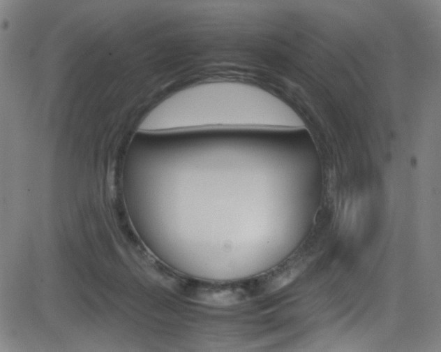 X0000083000267200702011217