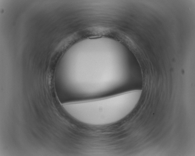 X0000083000268200702011217