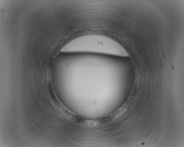 X0000083000272200702011217