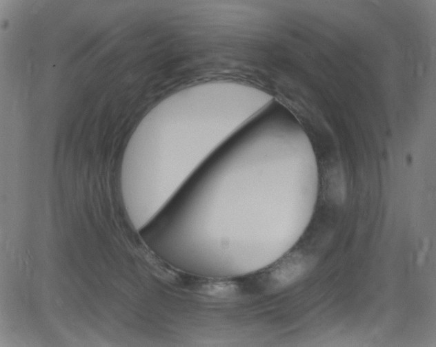 X0000083000274200702011217