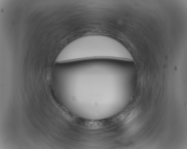 X0000083000277200702011217