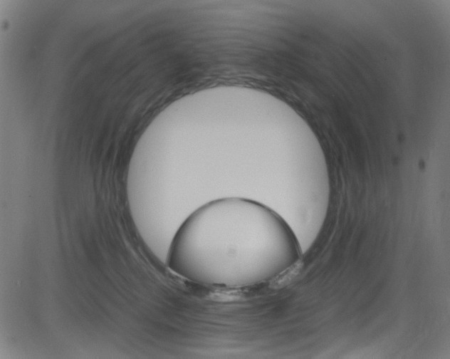 X0000083000280200702011217
