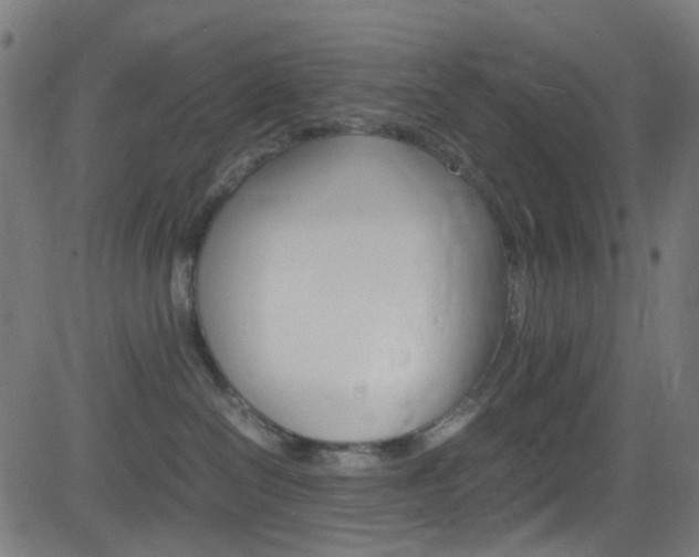 X0000083000286200702011217