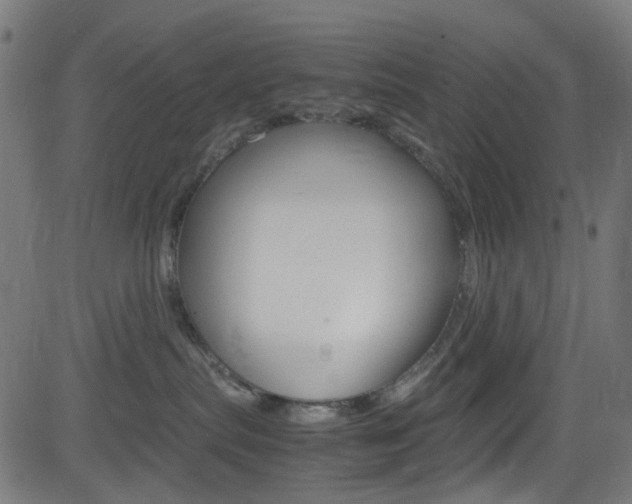 X0000083000287200702011217