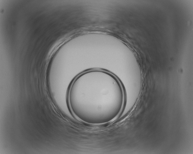 X0000083000293200702011216