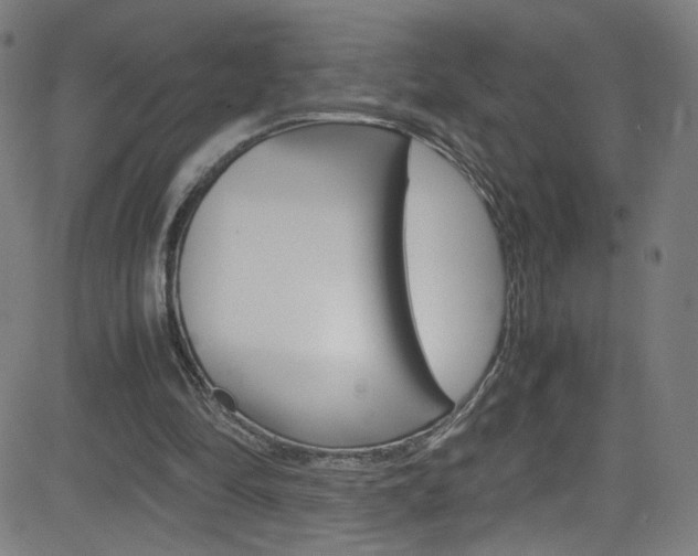 X0000083000294200702011216