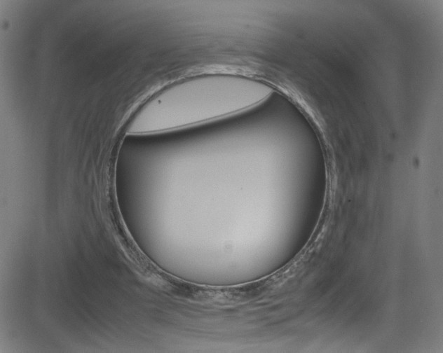 X0000083000297200702011216