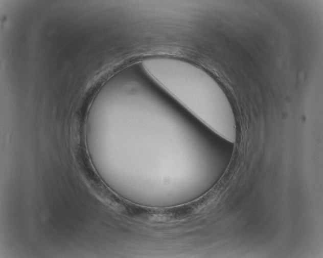 X0000083000303200702011216