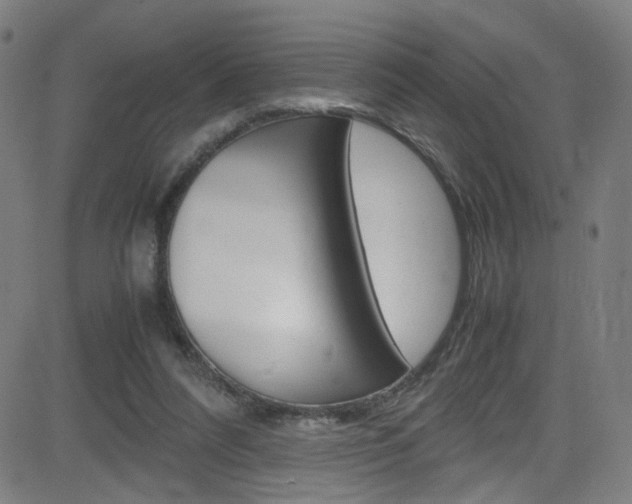 X0000083000304200702011216