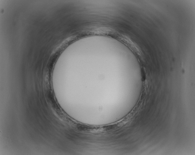 X0000083000306200702011216