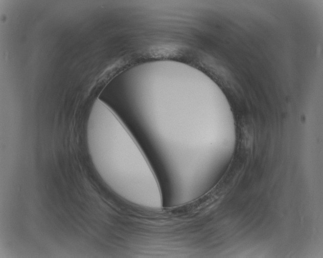 X0000083000308200702011216