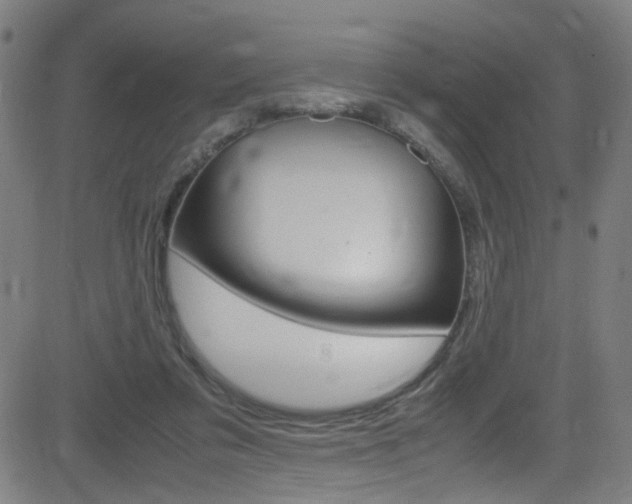 X0000083000309200702011216