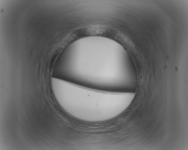 X0000083000315200702011216