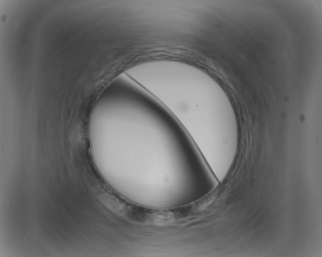 X0000083000317200702011216