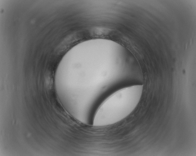 X0000083000324200702011216