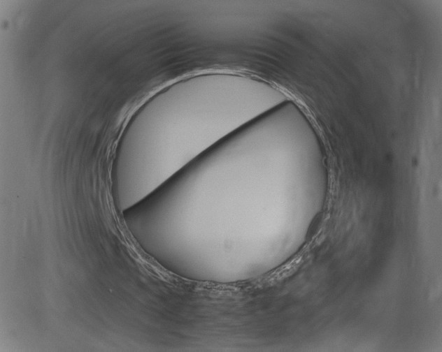 X0000083000337200702011215