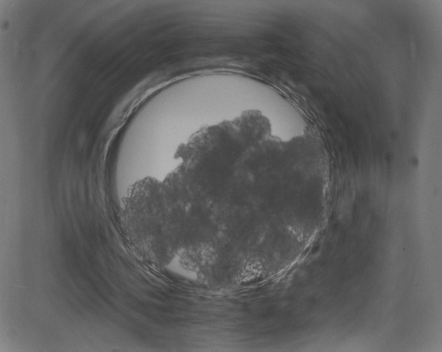 X0000083000339200702011215