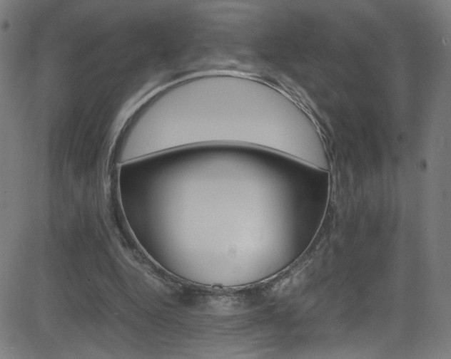 X0000083000344200702011215