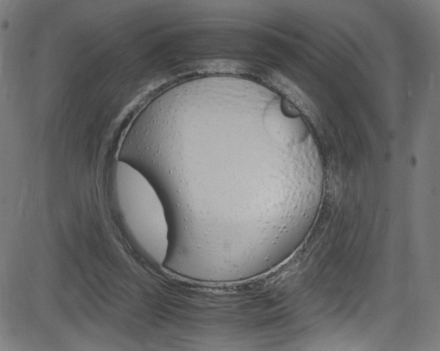 X0000083000347200702011215