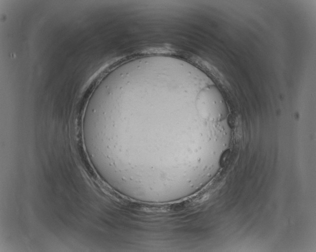 X0000083000351200702011215