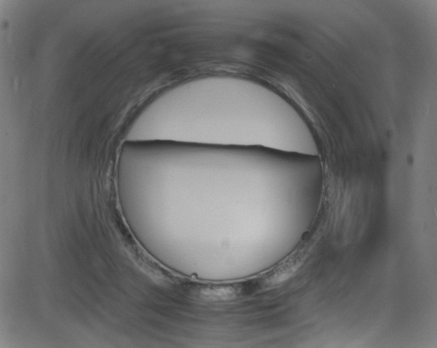 X0000083000357200702011215