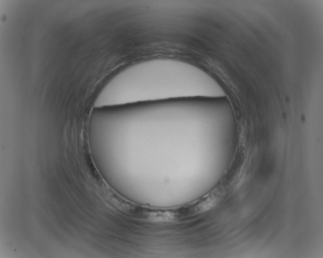 X0000083000363200702011215