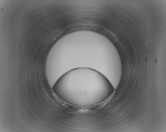 X0000083000364200702011215