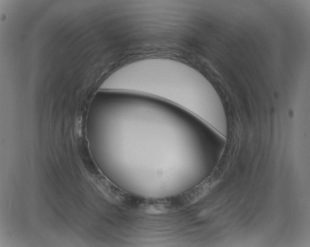 X0000083000368200702011215
