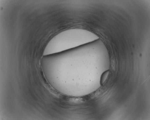 X0000083000375200702011215