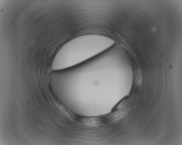 X0000083000378200702011215