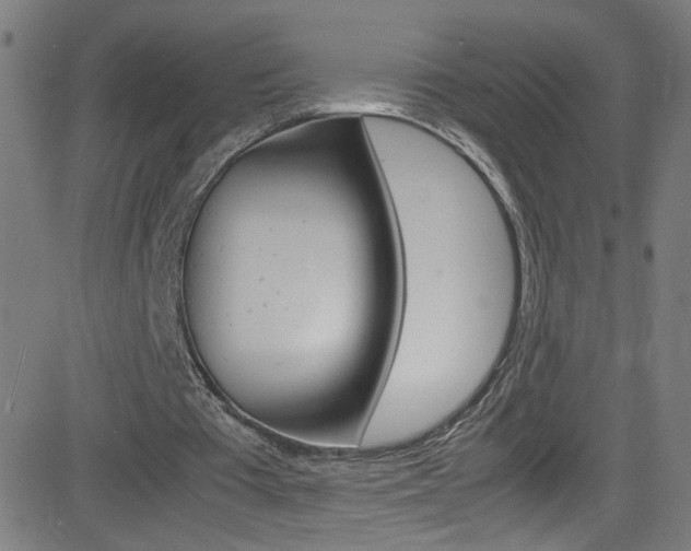 X0000083000385200702011215