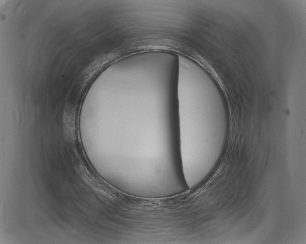 X0000083000386200702011215