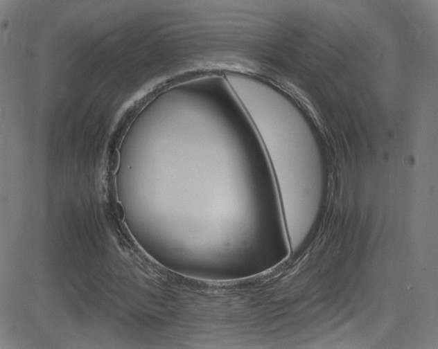 X0000083000388200702011215