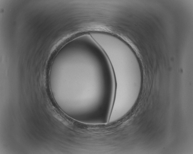 X0000083000391200702011215