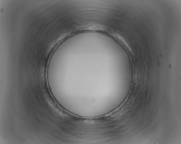 X0000083000394200702011214