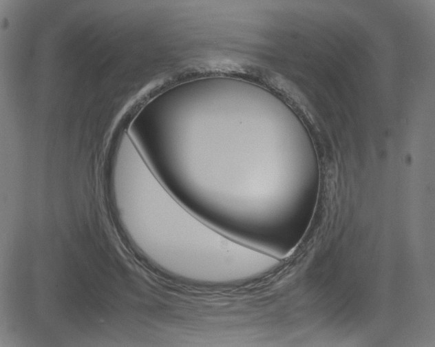 X0000083000395200702011214