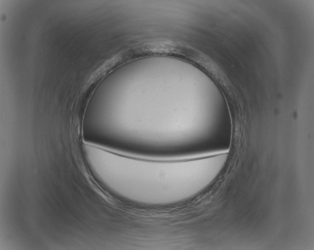 X0000083000397200702011214