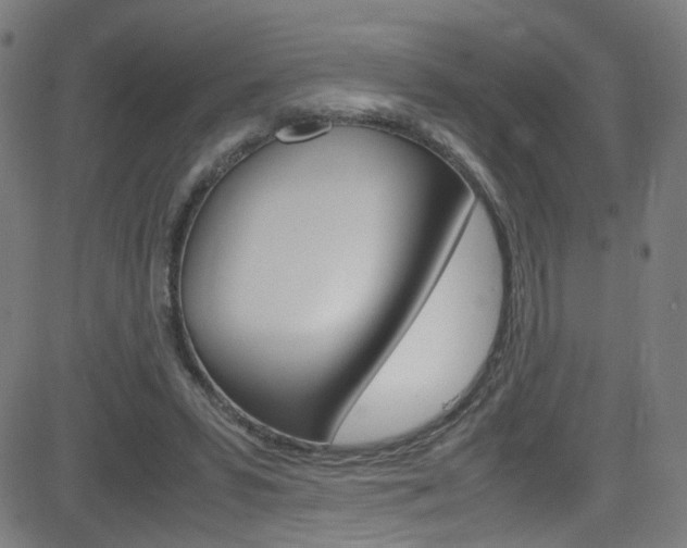 X0000083000399200702011214