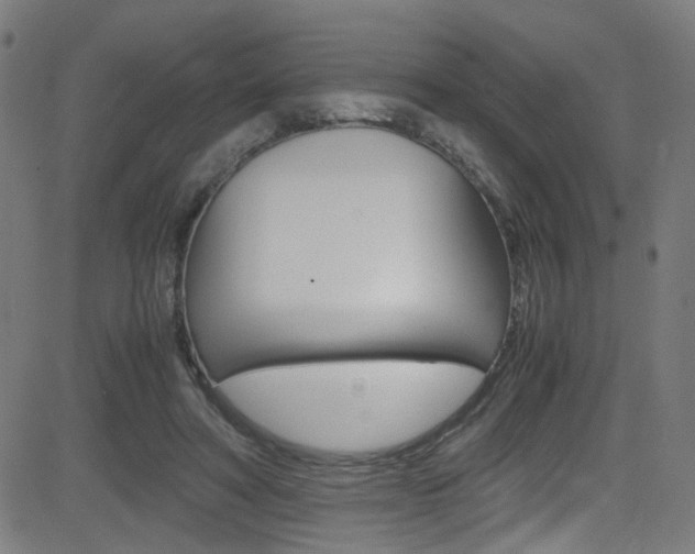 X0000083000402200702011214
