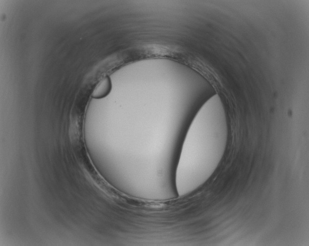 X0000083000410200702011214
