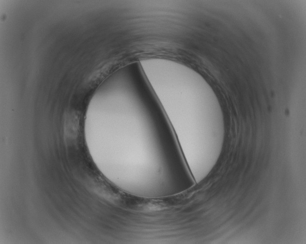 X0000083000412200702011214